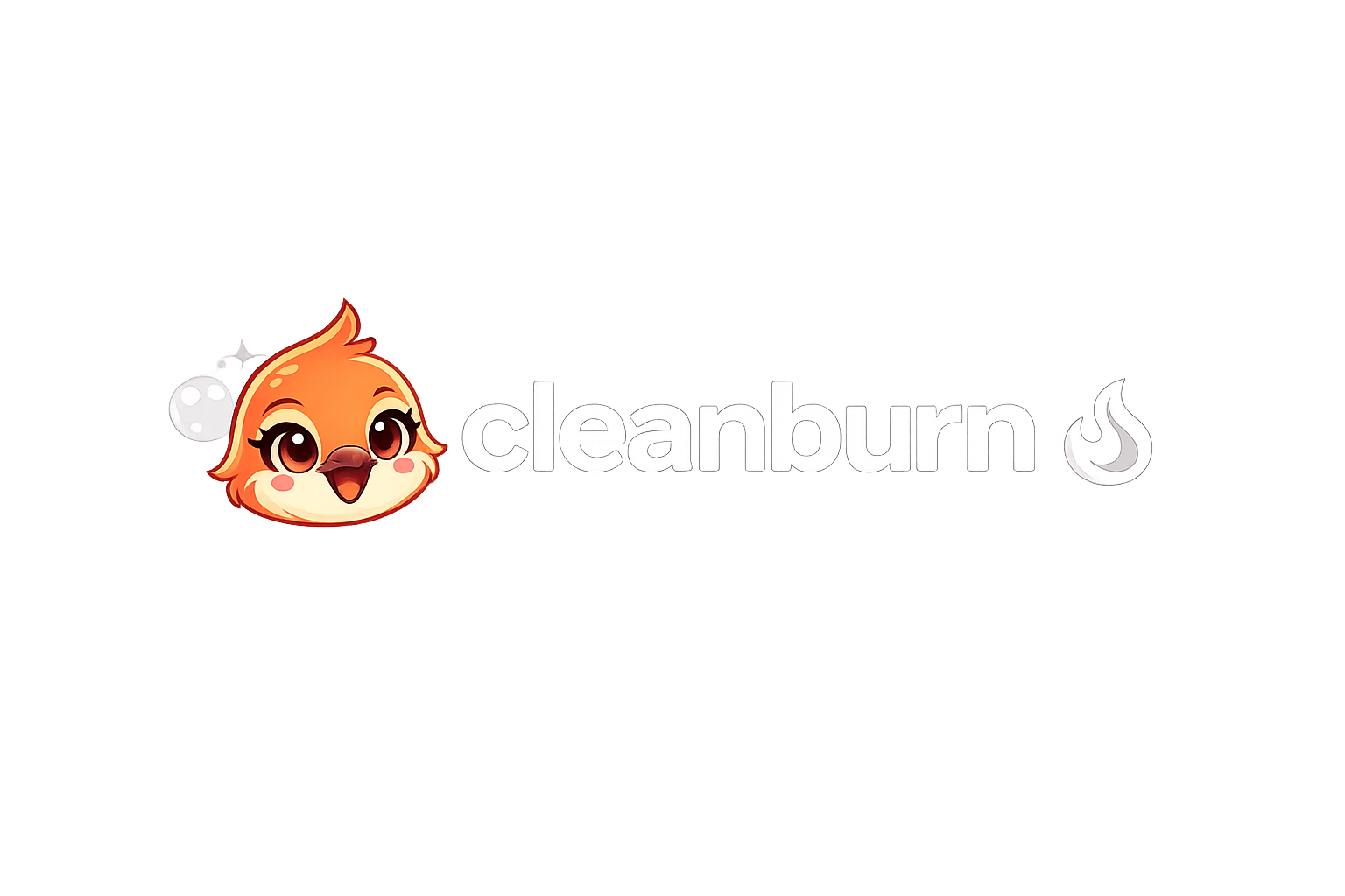 CleanBurn